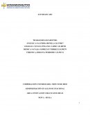 Un emprendedor ACTIVIDAD 1