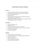 Análisis FODA de Empresas de Topografía