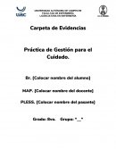 Carpeta de Evidencias Práctica de Gestión para el Cuidado