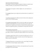 Aspectos Formales de la Escritura.