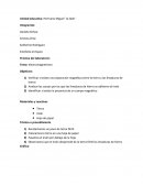 Imformes Verificar si existe una separación magnética entre la tierra y las limaduras de hierro