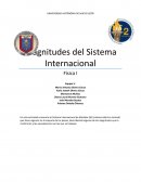 Magnitudes del sistema internacional Física I