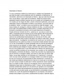 Desempleo en Mexico.