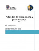 Act organizacion ingles 2 etapa 1.