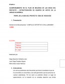 PERFIL DE LA IDEA DEL PROYECTO / IDEA DE NEGOCIOS