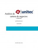 Análisis de cartera de negocios.