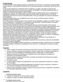 Proyecto Áulico Juegos de Mesa