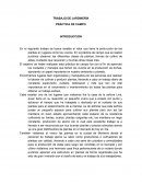 TRABAJO DE JARDINERÍA PRÁCTICA DE CAMPO