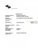 SUBPROYECTO Sociologia rural