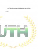 DESARROLLO Y SUB DESAROLLO