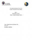 Metacognitive Activity.