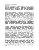 Escritura de constitucion PROTOCOLO