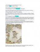 Es el primer día del calendario lunar cuando toda la familia se reúne vestida con hanbok y realiza un ritual ancestral. ¿Cómo se llama este día?