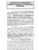 AUDIENCIA DE RECEPCIÓN DE PRUEBAS, ALEGATOS Y CITACIÓN PARA SENTENCIA.