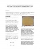 AISLAMIENTO Y SELECCIÓN DE MICROORGANISMOS PRODUCTORES DE ENZIMAS
