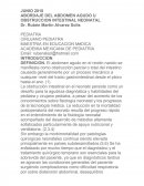 Abordaje del abdomen agudo o obstruccion intestinal neonatal