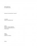 Procedimiento inmobiliaria calidad