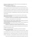 Educación, raíz etimológica