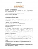 CASO DE ESTUDIO ECOCENTURY