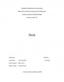 La vacuna contra el ébola podría estar lista en enero