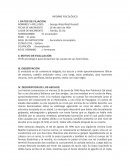 Informe Psicológico George Russell