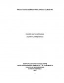 PRODUCCIÓN DE BIOMASA PARA LA REDUCCIÓN DE TPH