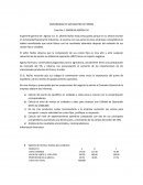 UNIVERSIDAD DE SAN MARTIN DE PORRES Caso No 2: EMPRESA AGROSA SA