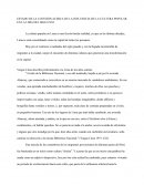 Influencia de la Cultura Popular en la Lima del siglo XXI