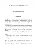 ANALISIS ERGONOMICO DEL PUESTO DE TRABAJO