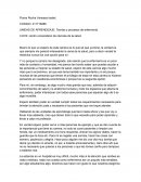 Teorías y procesos de enfermería.