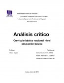Análisis critico Currículo básico nacional nivel educación básica