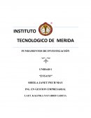 ¿Por que elegí la carrera de ingeniería en gestion empresarial?