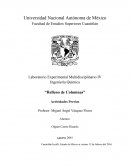 Previo relleno de columnas