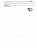 El presente documento consiste en un manual específico para los negocios en términos del marco de control de Filial Deportiva.