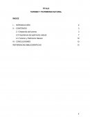 TURISMO Y PATRIMONIO NATURAL