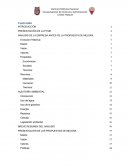 ANALISIS DE LA EMPRESA ANTES DE LA PROPUESTA DE MEJORA