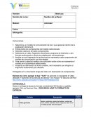 Rúbrica e instrucciones E6