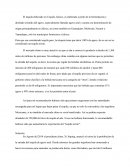 La elaboración del Tequila.