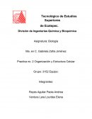 Tecnológico de Estudios Superiores de Ecatepec.