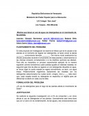 Efectos que tienen el uso de agua con detergentes en el crecimiento de las plantas
