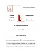 Ensayo: Re-Descubriéndome