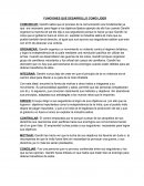 FUNCIONES QUE DESARROLLO COMO LIDER