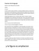 Examen de lenguaje.