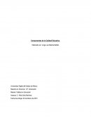 Componentes de la Calidad Educativa. Calidad en Educación