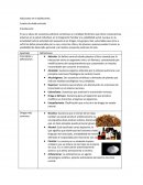 Adicciones en el adolescente. Cuadro de doble entrada