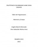 Taller de Programación. Ensayo