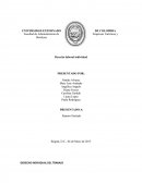 Derecho individual del trabajo.Derecho laboral individual