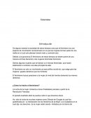 Feminismo y la sociedad