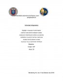 El ciclo del carbono, el calentamiento global y sus efectos sobre el medio ambiente