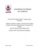 Técnicas De Terapia Familiar Y Terapias Familia Estructural